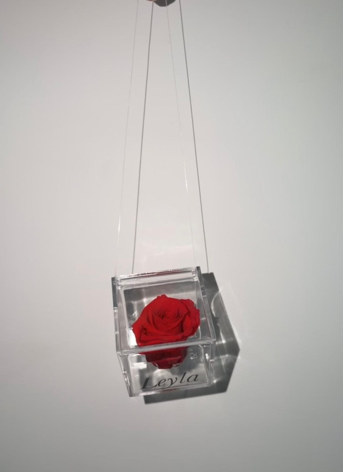 Rose Éternelle Auto