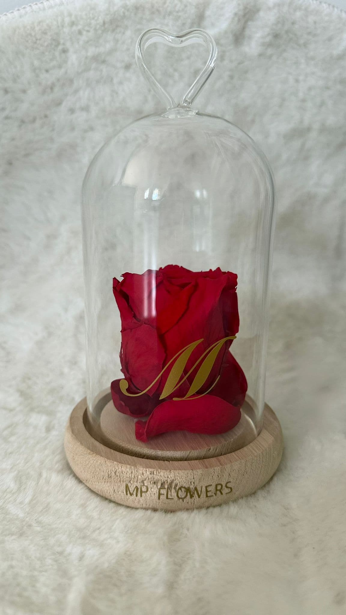 Roses Eternelles